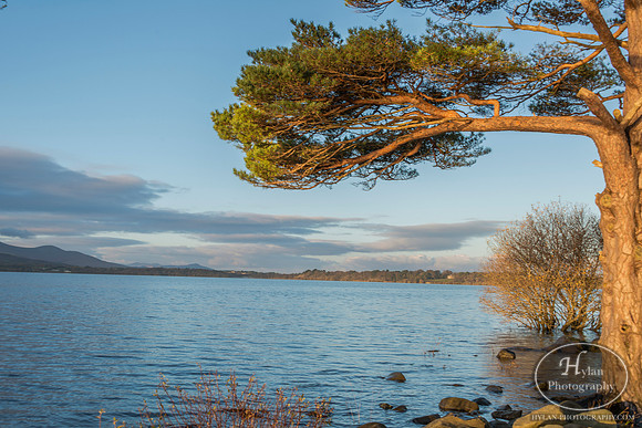 Hylan-Ireland-Killarney-7.jpg