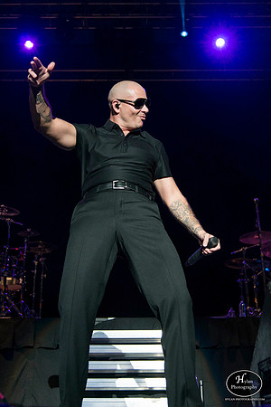 Pitbull