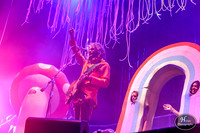 The Flaming Lips