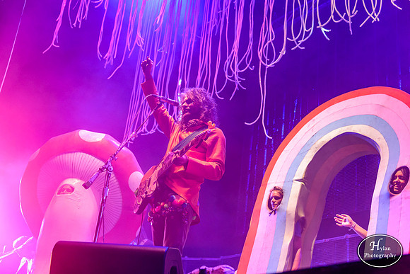 The Flaming Lips