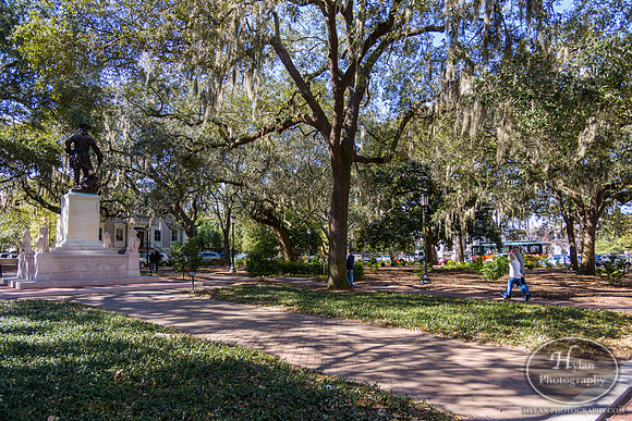 Savannah Day 3