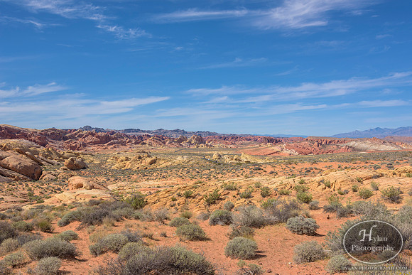 Valley-Of-Fire-38.jpg