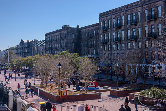 Savannah