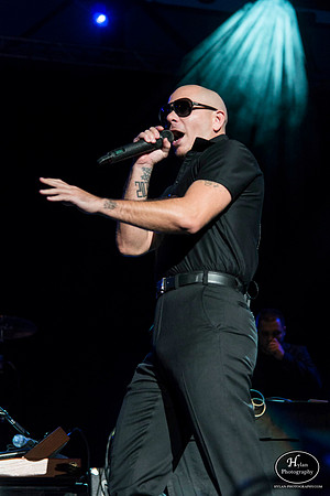 Pitbull