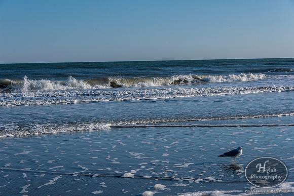 Myrtle Beach