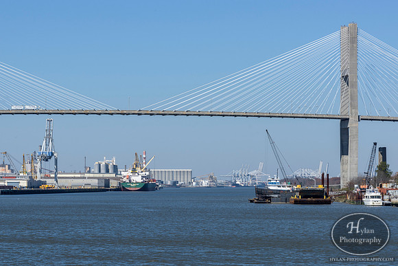 Savannah