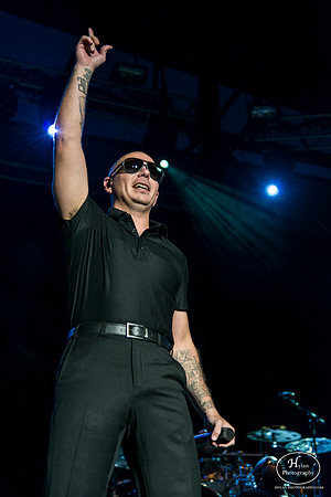 Pitbull
