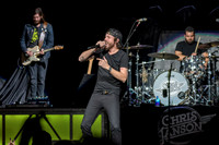 ChrisJanson-HylanPhotography-PPL-CatCountry-2-3.jpg