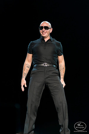 Pitbull
