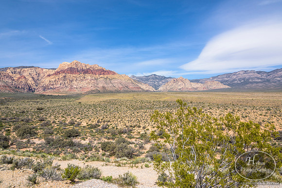 Red-Rock-Hylan-4.jpg