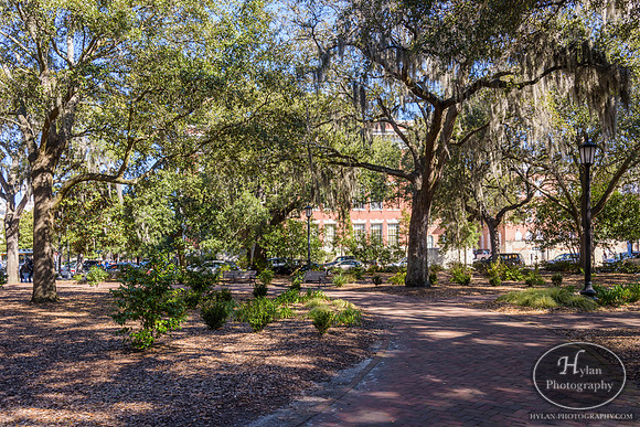 Savannah Day 3