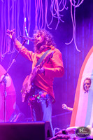 The Flaming Lips