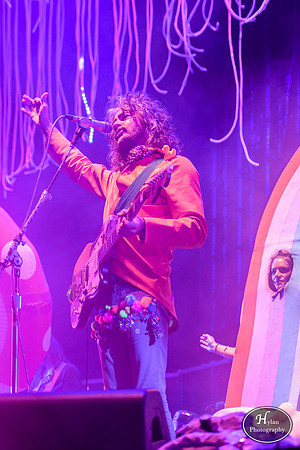The Flaming Lips