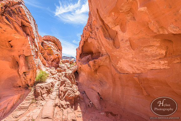 Valley-Of-Fire-21.jpg
