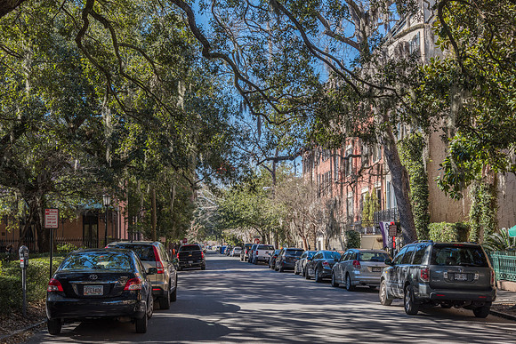 Savannah