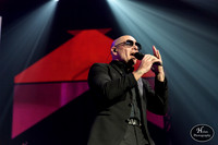 Pitbull-HylanPhotography-PPLCenter-WLEV-02-3.jpg
