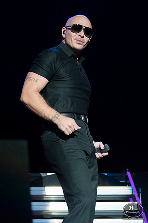 Pitbull