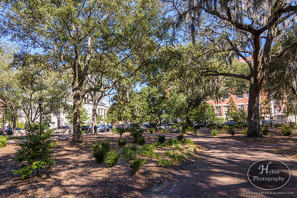 Savannah Day 3