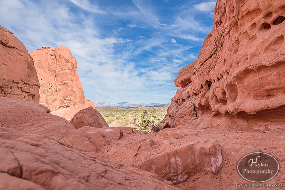 Valley-Of-Fire-73.jpg