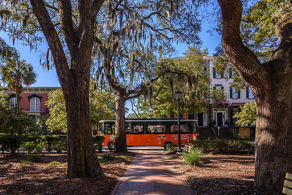 Savannah