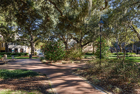 Savannah