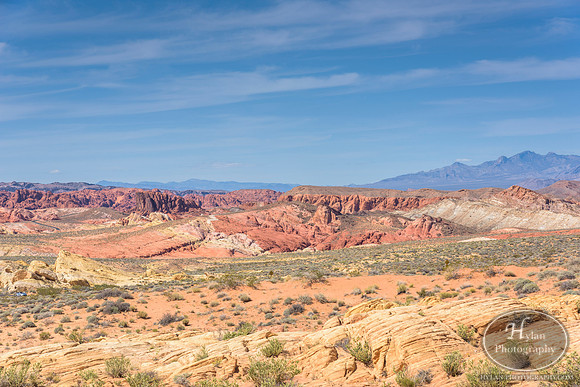 Valley-Of-Fire-39.jpg