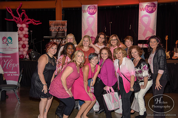LittlePinkDressParty2016-HylanPhotography-MusikfestCafe-WLEV-204642.jpg