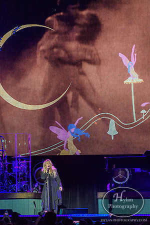 StevieNicks-HylanPhotography-SandsEventCenter-WLEV-01-2.jpg