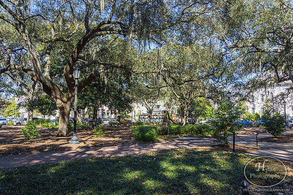 Savannah Day 3
