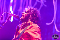 The Flaming Lips