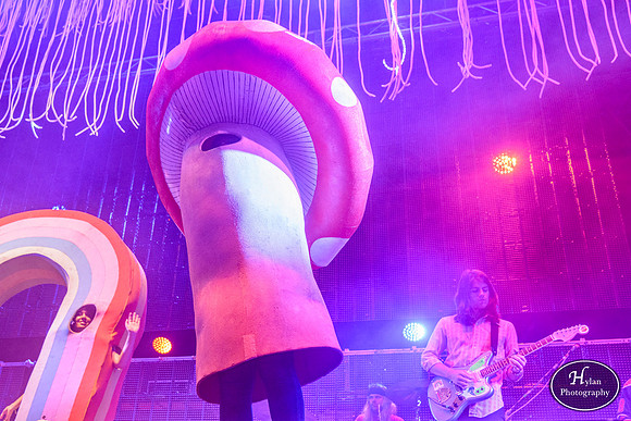 The Flaming Lips