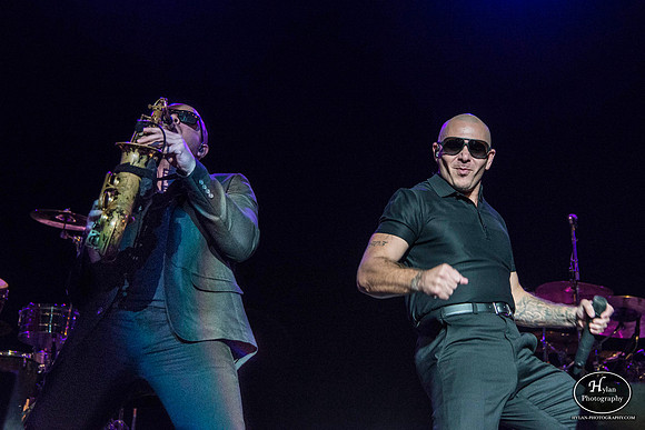 Pitbull
