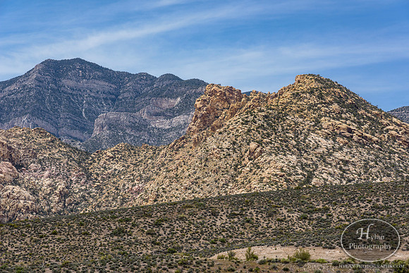 Red-Rock-Hylan-44.jpg