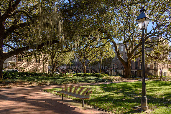 Savannah