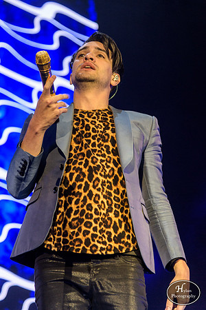 Panic!AtTheDisco-HylanPhotography-PavilionatMontageMountain-04.jpg