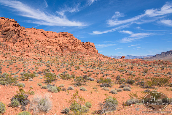 Valley-Of-Fire-35.jpg
