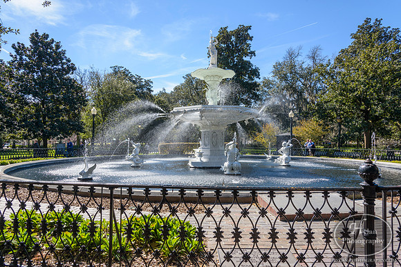 Savannah Day 3