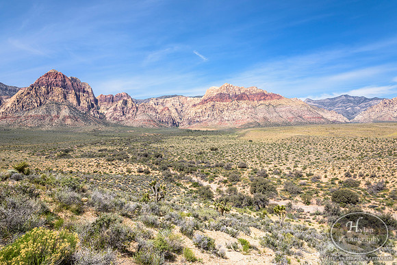 Red-Rock-Hylan-5.jpg