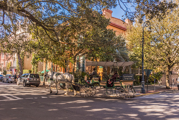 Savannah
