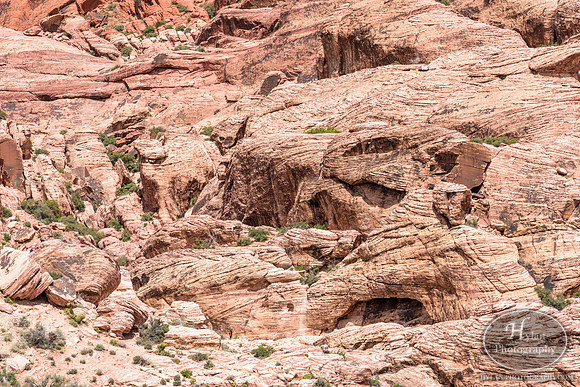 Red-Rock-Hylan-32.jpg