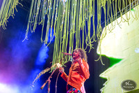 The Flaming Lips