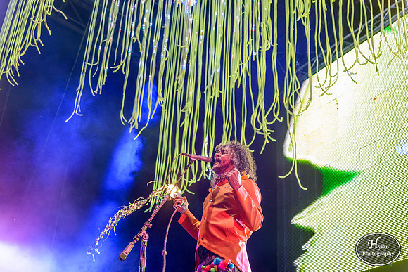 The Flaming Lips