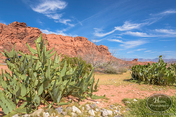 Valley-Of-Fire-37.jpg
