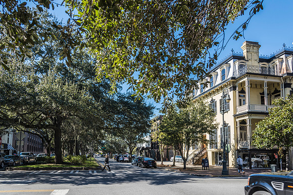 Savannah