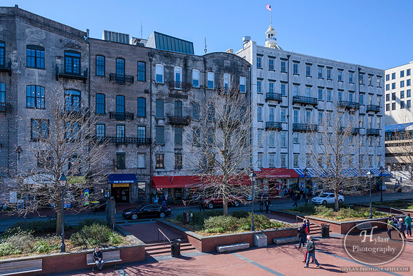 Savannah
