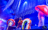The Flaming Lips