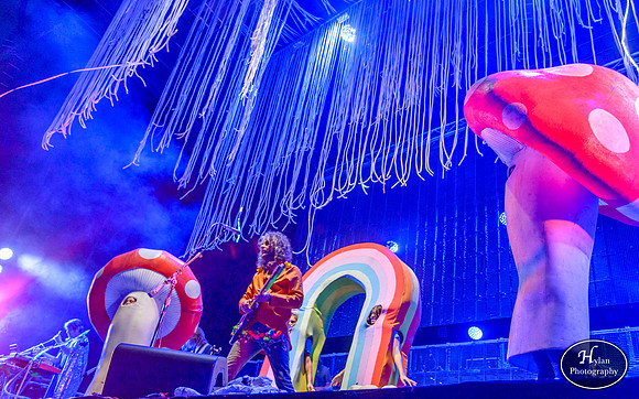 The Flaming Lips