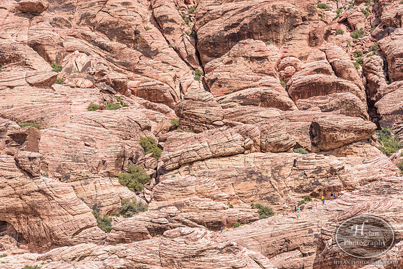Red-Rock-Hylan-35.jpg
