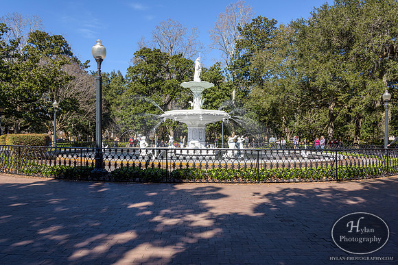 Savannah Day 3