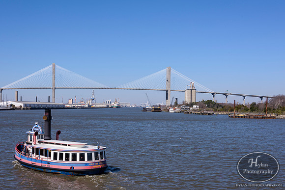 Savannah